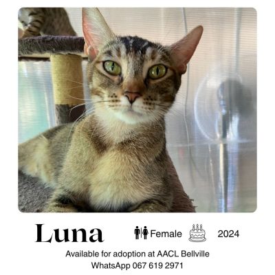 Luna-Bellville