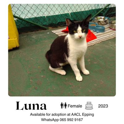 Luna