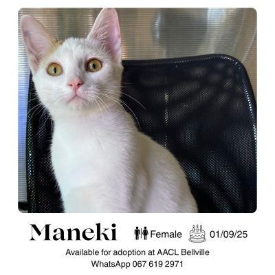 Maneki