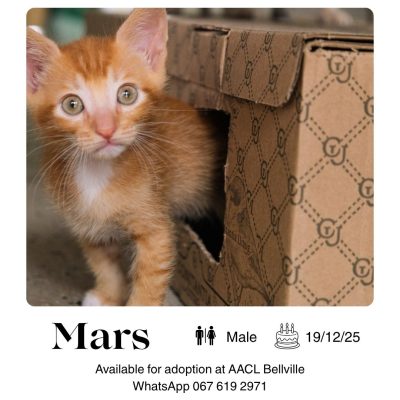Mars