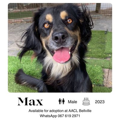 Max
