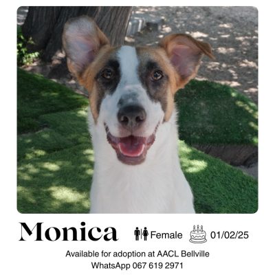 Monica