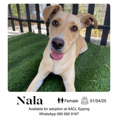 Nala