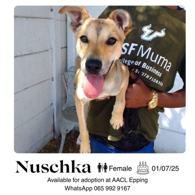 Nuschka