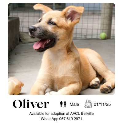 Oliver