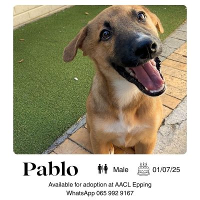 Pablo