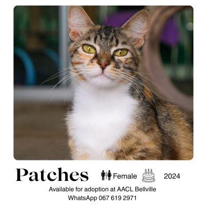 Patches