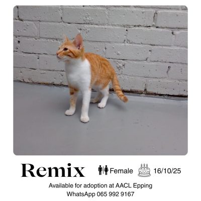 Remix