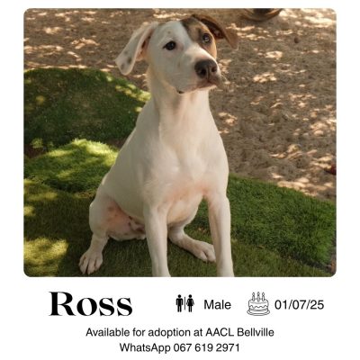 Ross