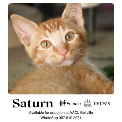 Saturn