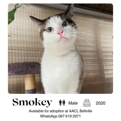 Smokey