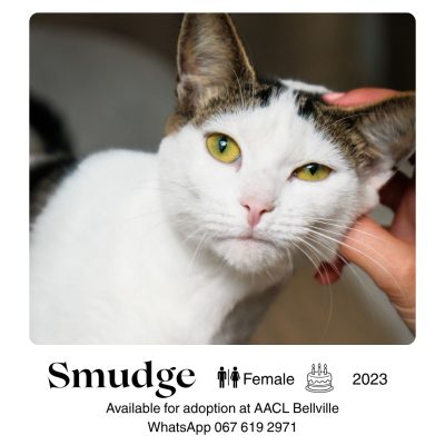 Smudge
