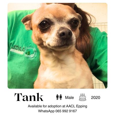 Tank