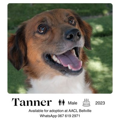 Tanner