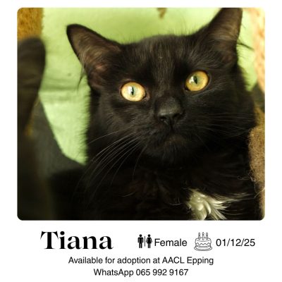 Tiana